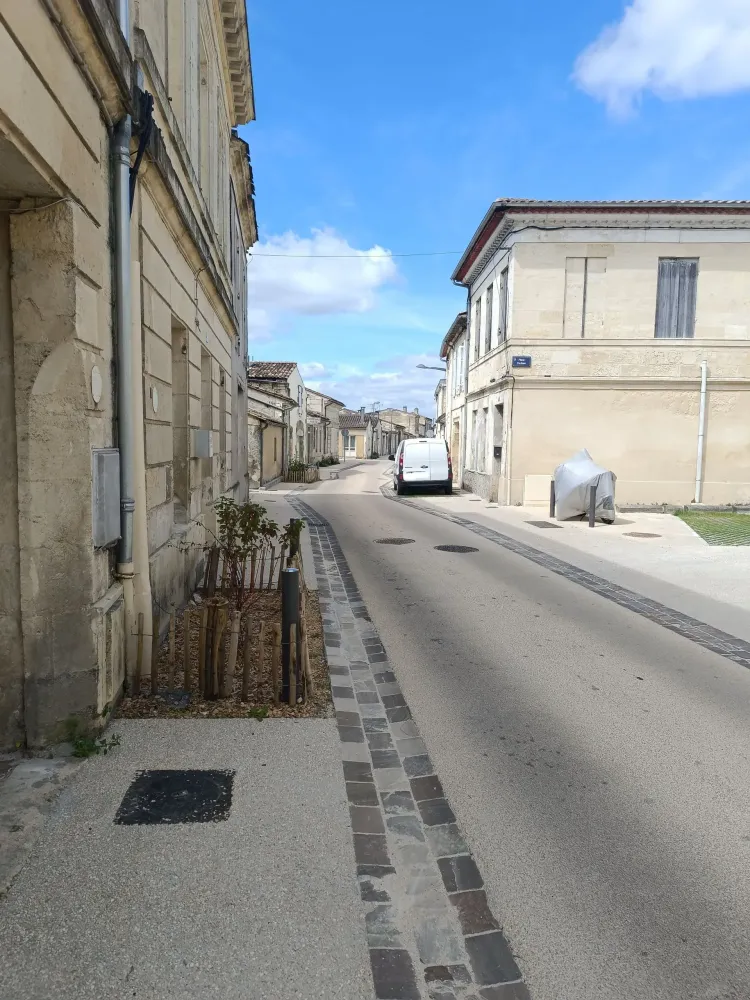 Amenagement Rues Gambetta et Preuilh (12)