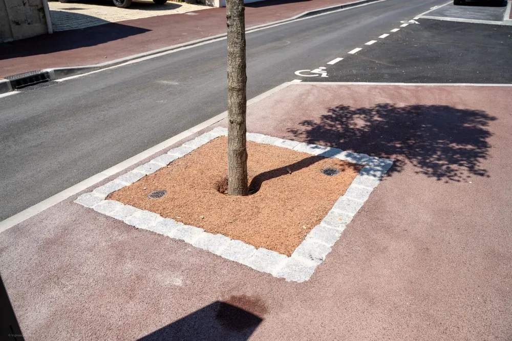 Aménagement urbain Rue Georges Meran (4)